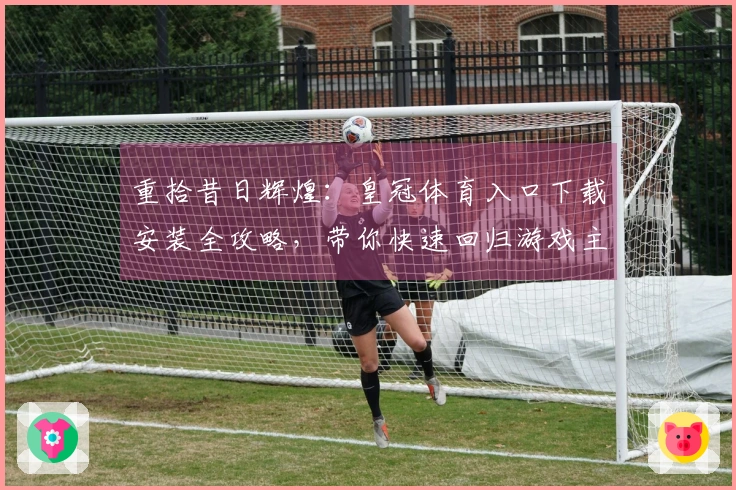 重拾昔日辉煌：皇冠体育入口下载安装全攻略，带你快速回归游戏主场