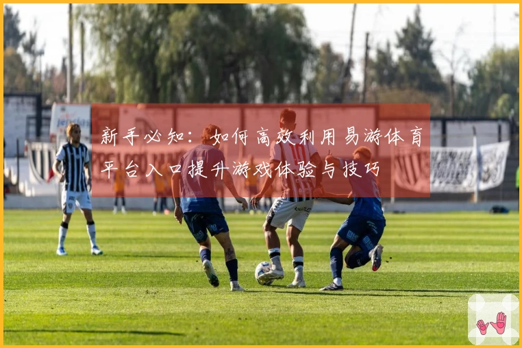 新手必知：如何高效利用易游体育平台入口提升游戏体验与技巧